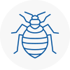 Bed Bug Extermination In Caerphilly